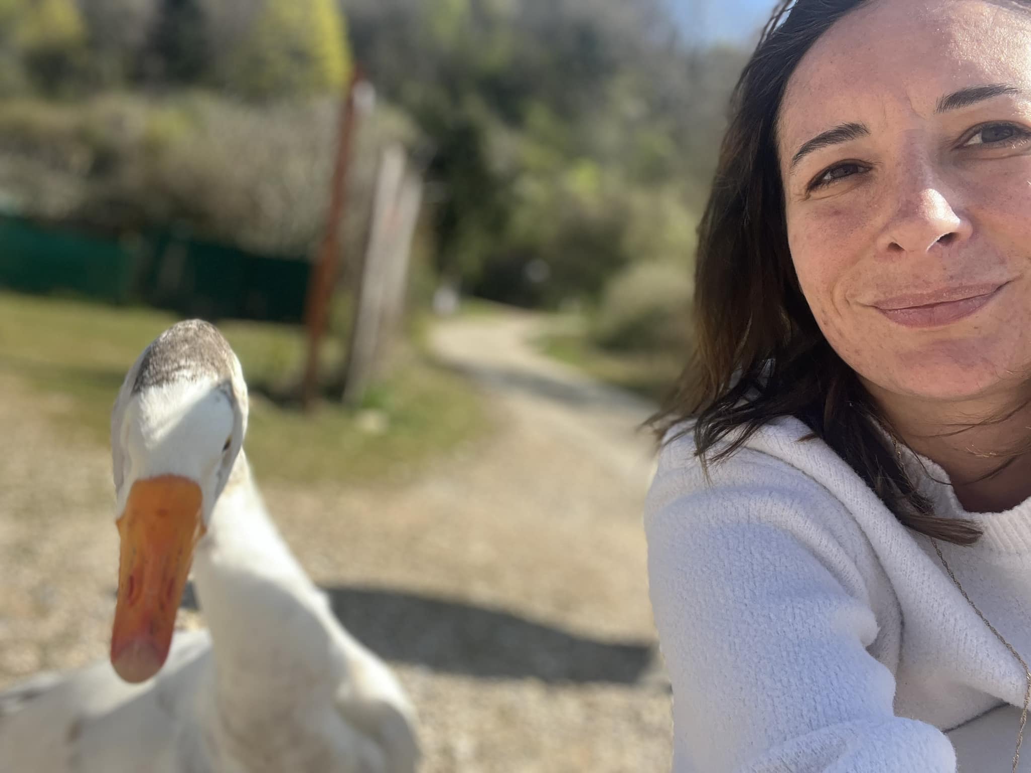 Qui peut venir nourrir mon oie ?